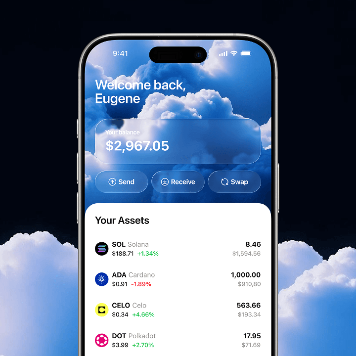Crypto wallet screen showing balance and assets